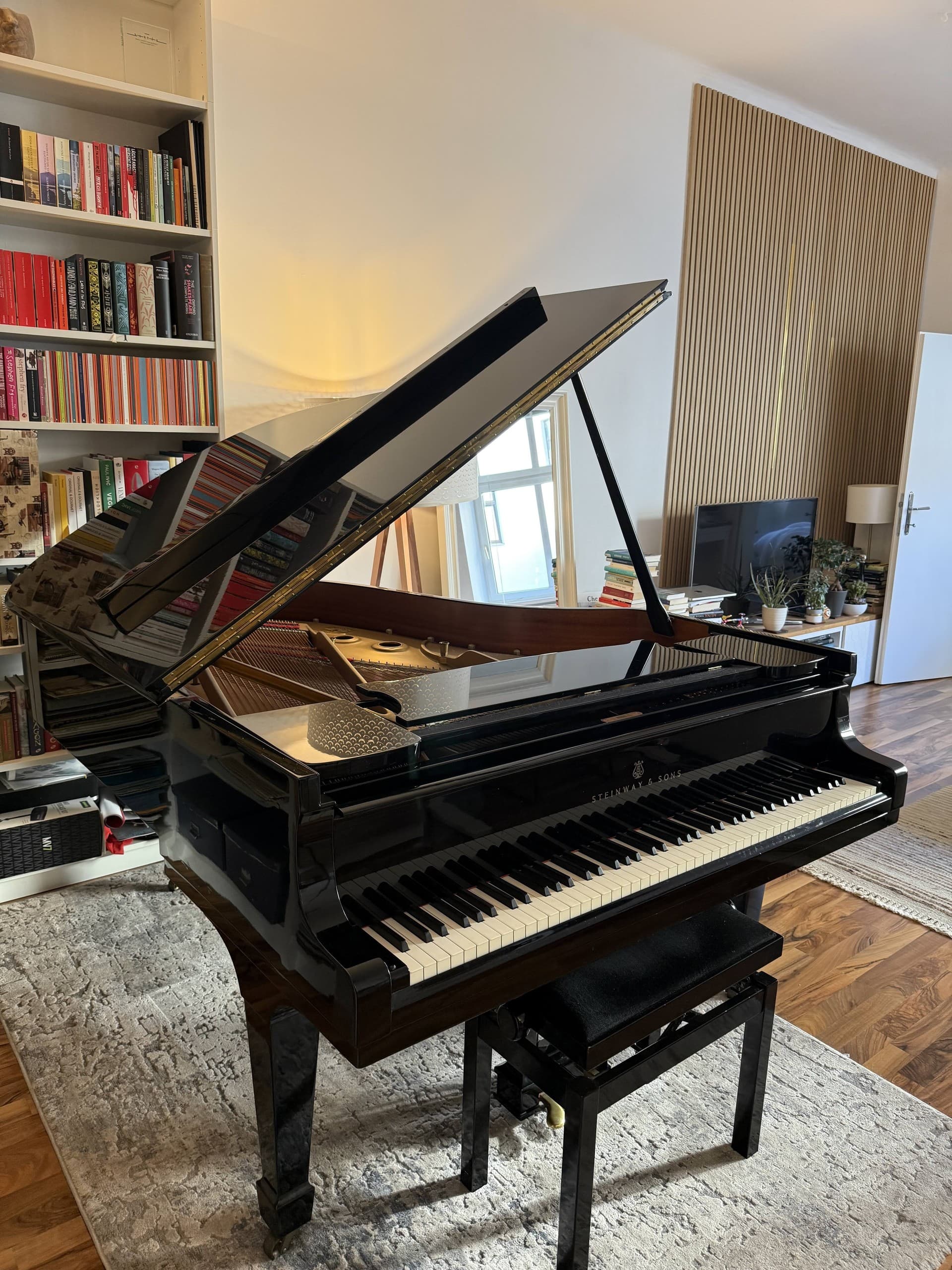 Welcome to Schubert's corner! This beautiful rehearsal studio is located a stone's throw from the place where Franz himself was born (Schubert Geburtshaus( and where he worked with his father (now called Schubert's garage).